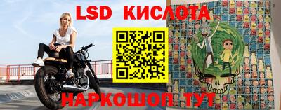 крисы Абакан