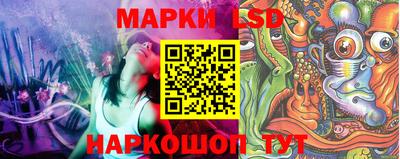 крисы Абакан
